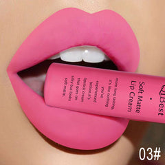 Lasting Matte Liquid Lipcolor