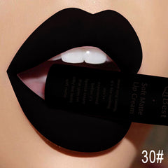 Lasting Matte Liquid Lipcolor