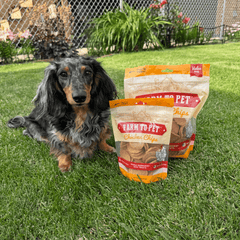 Chicken Chips for Dogs | All-Natural Single-Ingredient Dog Treats