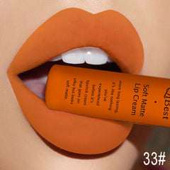 Lasting Matte Liquid Lipcolor